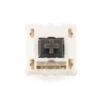 Durock T1 Koala Tactile Switch (singles) - Image 2