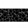 GMK Shashin