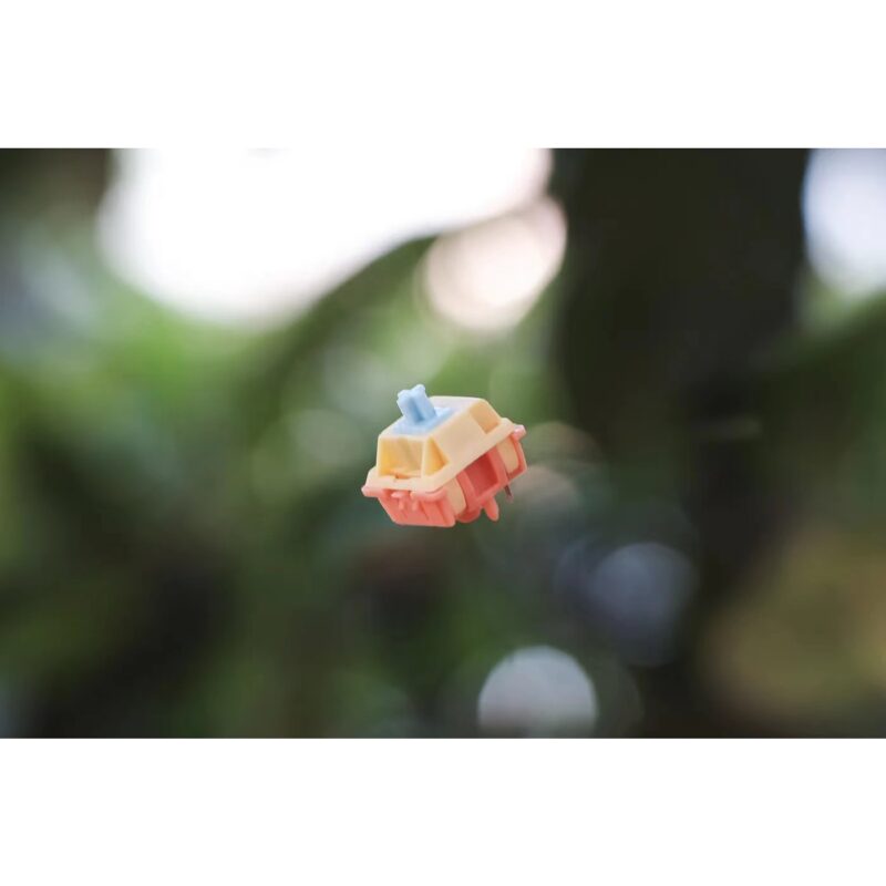 Autumn Rain Switches Group Buy (Packs of 10) - Image 4
