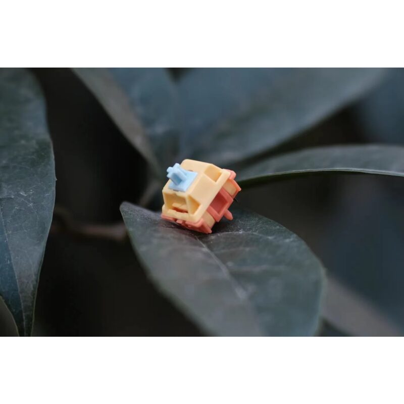 Autumn Rain Switches Group Buy (Packs of 10) - Image 8