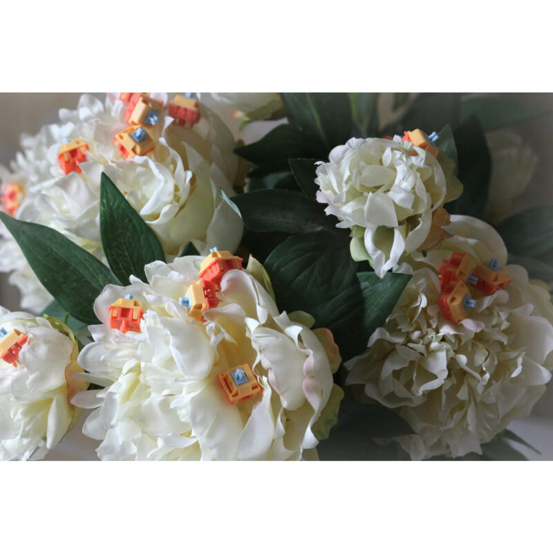 Autumn Rain Switches Group Buy (Packs of 10) - Image 5