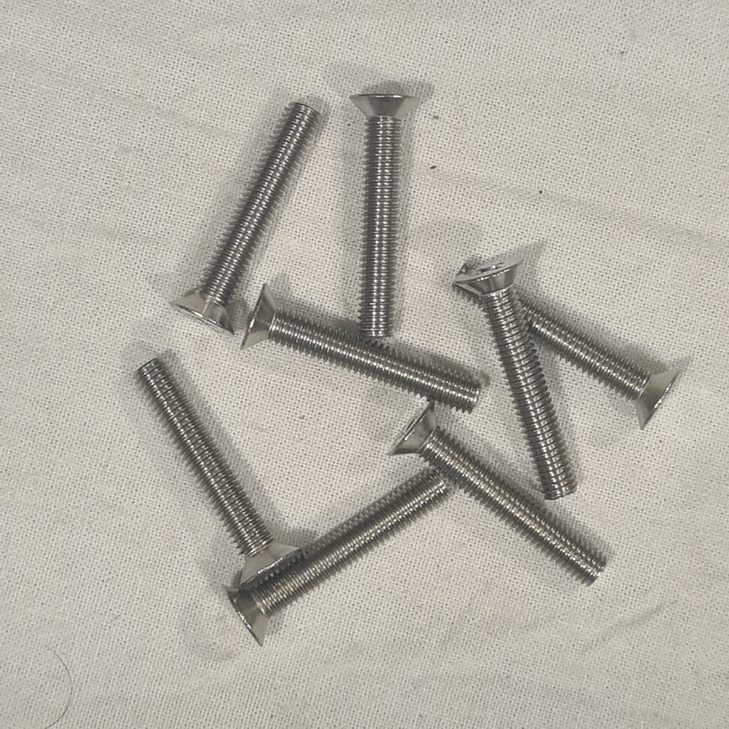 M5 Screw - 30mm (Stainless Steel)