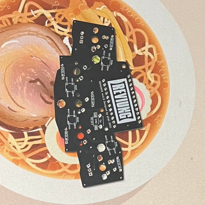 Reviung5 PCB