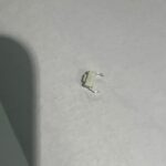 2-Pin SPST Tactile Switch 6.0x3.5x4.3 mm