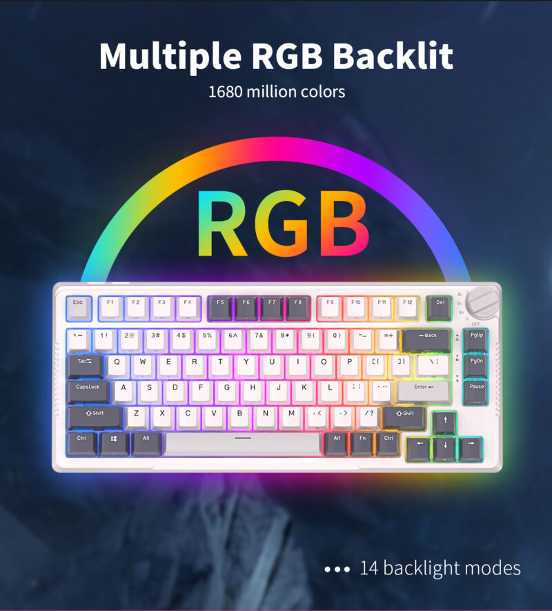Royal Kludge RK H81 (White Night) - Image 17