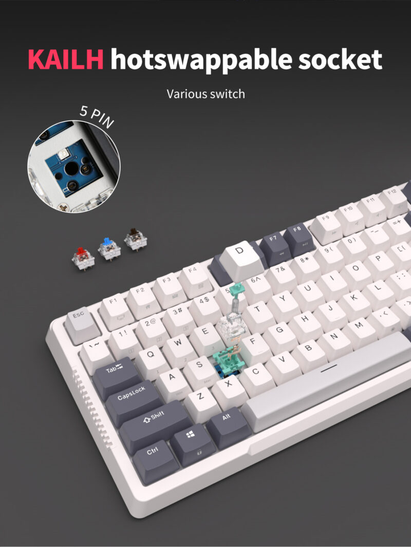 Royal Kludge RK H81 (White Night) - Image 13