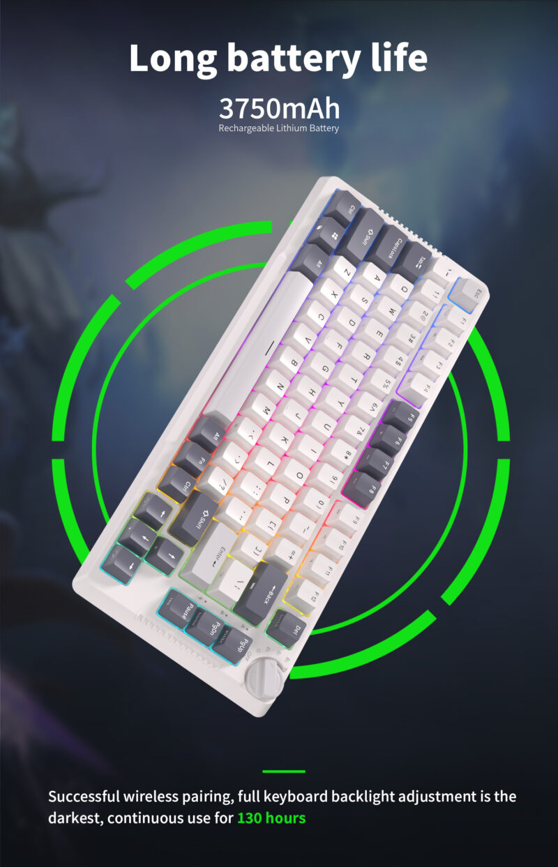 Royal Kludge RK H81 (White Night) - Image 9