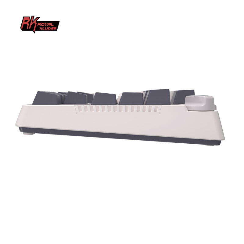 Royal Kludge RK H81 (White Night) - Image 25
