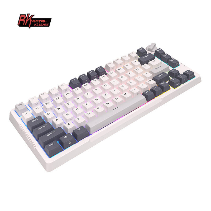 Royal Kludge RK H81 (White Night) - Image 22
