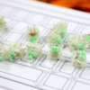 Gateron Baby Kangaroo 2.0 Tactile Switch (Pack of 10) - Image 2