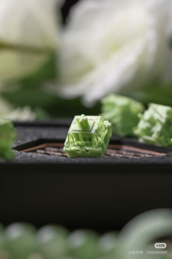 HMX Dino Switch (Pack of 10) [Pre-order]